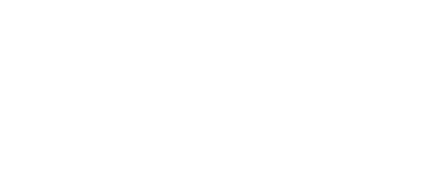 Sinergia Bags